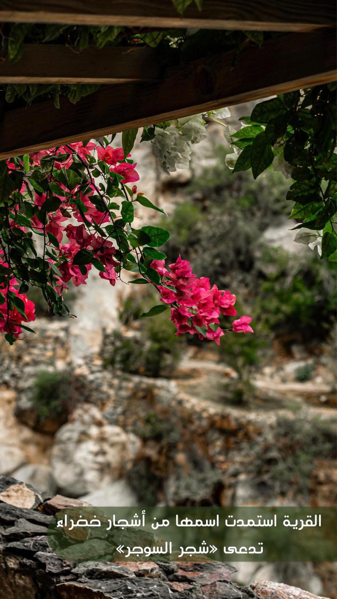 Maison d'hôtes The Suwgra-al-jabal Al-akdar Sūkirah